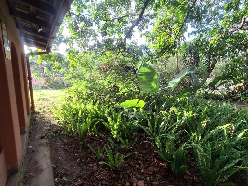 House For Sale In Margate - Photo 10