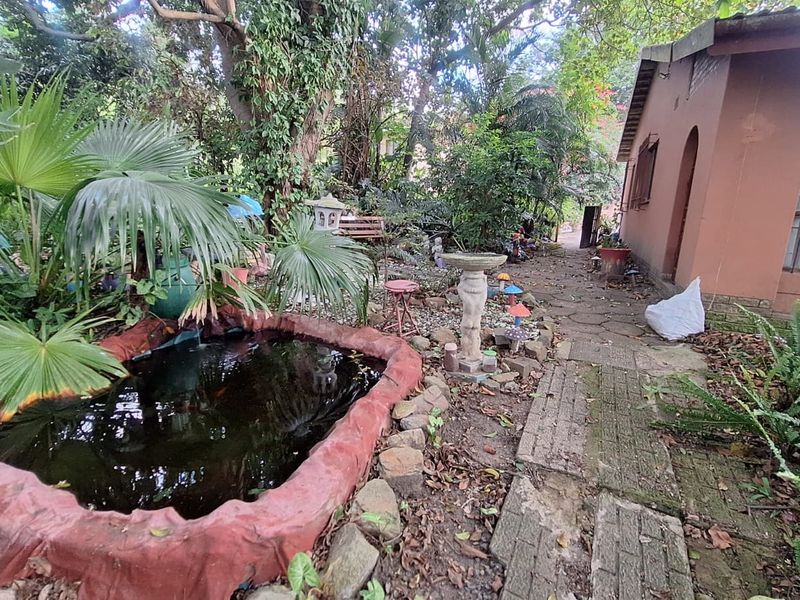 House For Sale In Margate - Photo 6