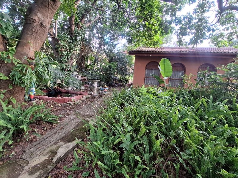 House For Sale In Margate - Photo 5