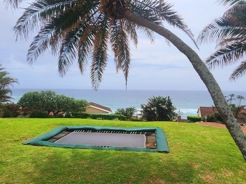 A scenic outdoor view featuring a well-maintained lawn, mature palm trees, and a clear perspective of the ocean horizon.