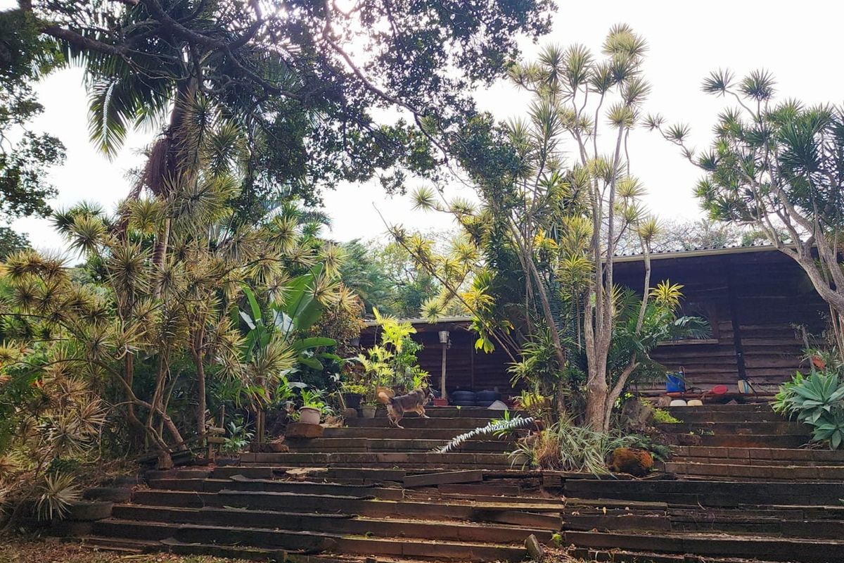 A rustic timber-clad structure accessed by a wide set of weathered wooden stairs, surrounded by mature trees and established garden landscaping.