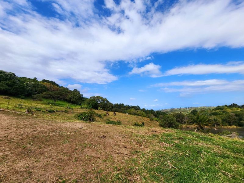 Expansive view of the farm property featuring rolling green pastures, natural woodland, and a scenic water feature under a clear blue sky.