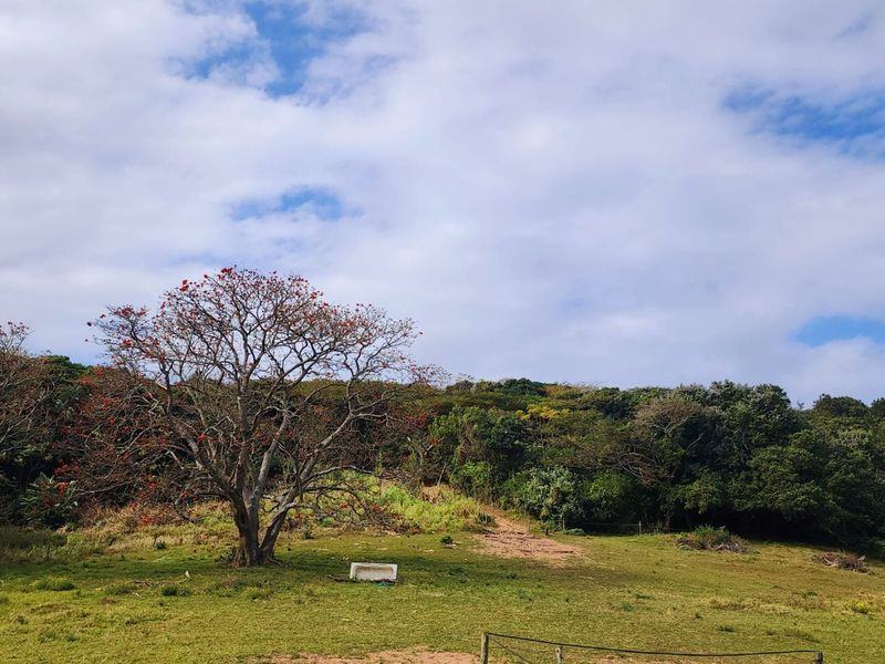 A scenic view of the farm property featuring open grassy fields, mature trees, and natural landscape.