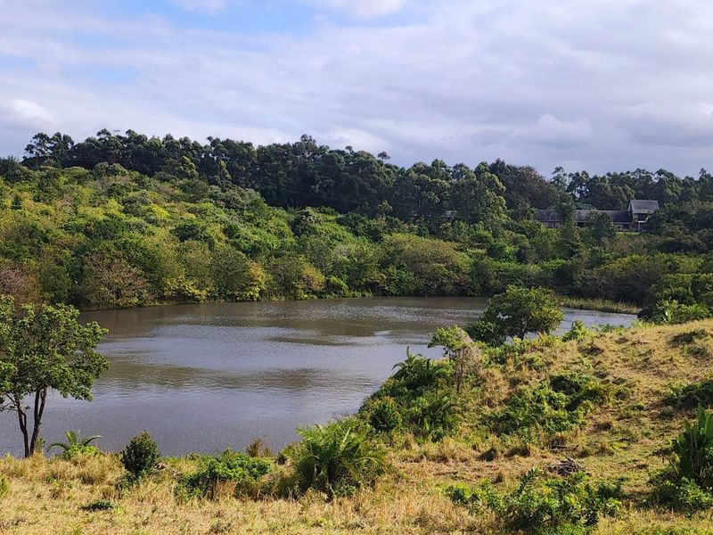 A scenic view of a natural dam surrounded by lush indigenous forest and rolling farm pastures on the property.