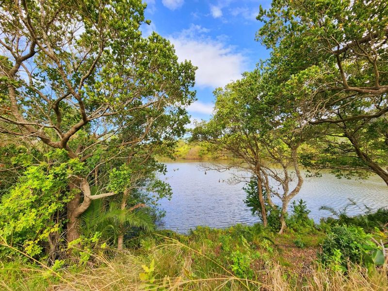 A scenic view of a tranquil lake framed by mature trees and natural vegetation on the farm property.