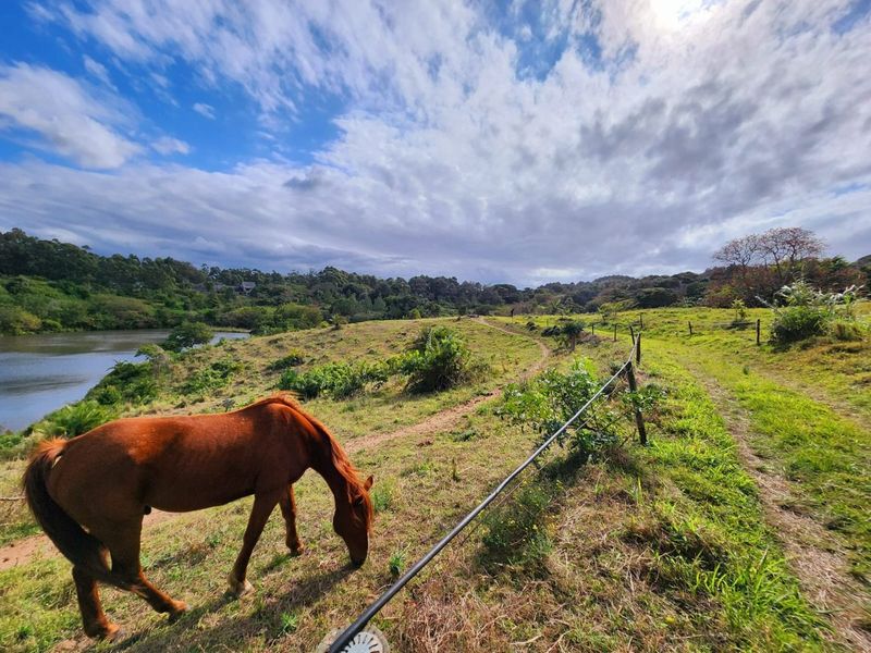 A scenic view of the farm property featuring rolling green pastures, wire fencing, and a tranquil dam under a cloudy sky.
