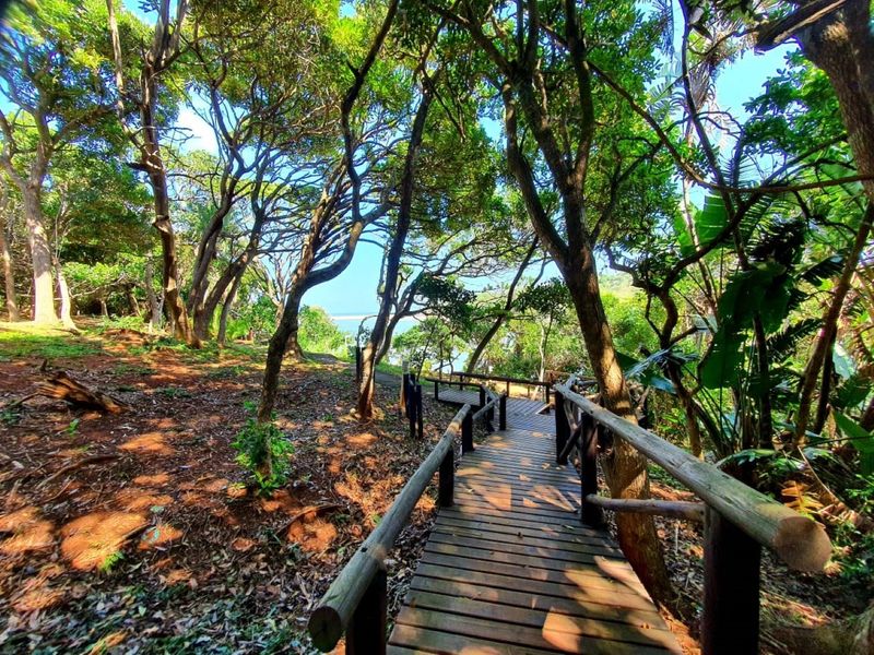 Vacant Land For Sale In Port Edward - Photo 9