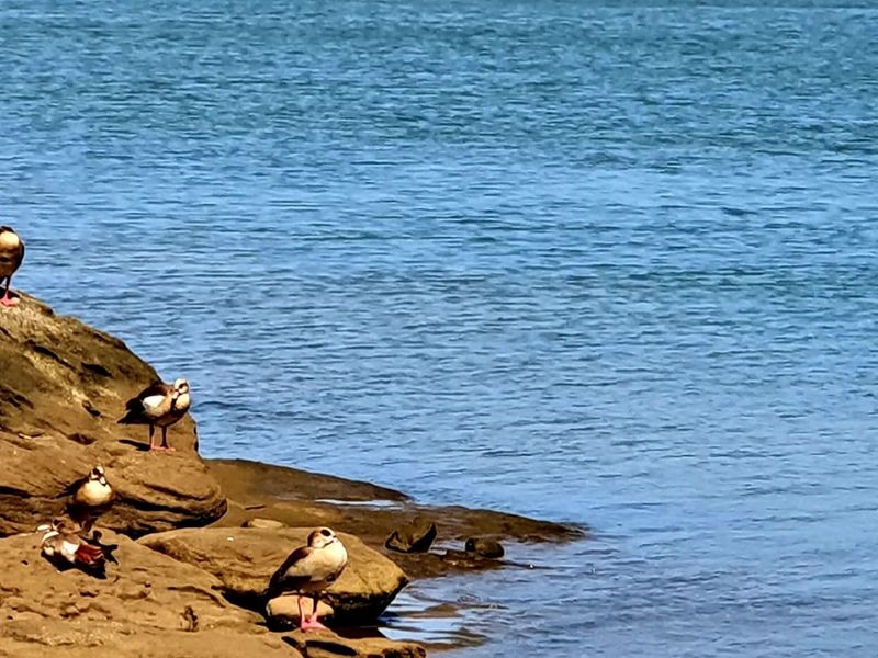 Vacant Land For Sale In Port Edward - Photo 8