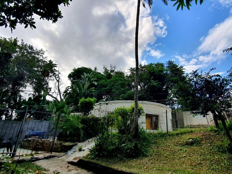 Rear view of the property featuring a curved exterior wall, perimeter fencing, and a sloped garden area with mature trees.