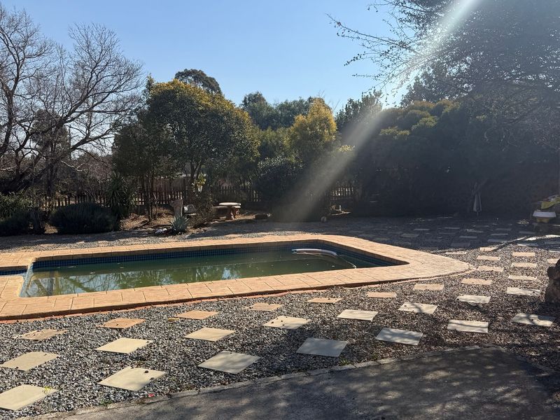 Outdoor pool area featuring a rectangular swimming pool with stone coping, surrounded by a gravel and paver garden setting with mature trees.
