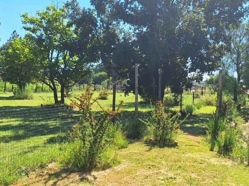 A spacious, established garden area featuring mature trees, lawn, and a small pond, providing a natural outdoor setting.