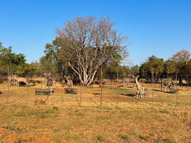 An open farm area featuring wire fencing and metal feeding troughs, set within a natural landscape with mature trees.