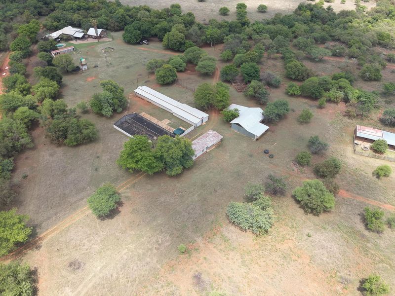Aerial view of a farm property featuring multiple outbuildings, corrugated metal roofs, a swimming pool, and extensive surrounding land.