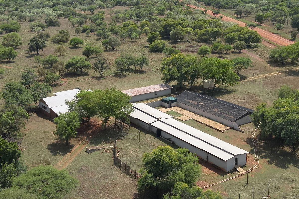 Aerial view of a farm property featuring multiple outbuildings with corrugated metal roofs, water storage tanks, and surrounding rural landscape.