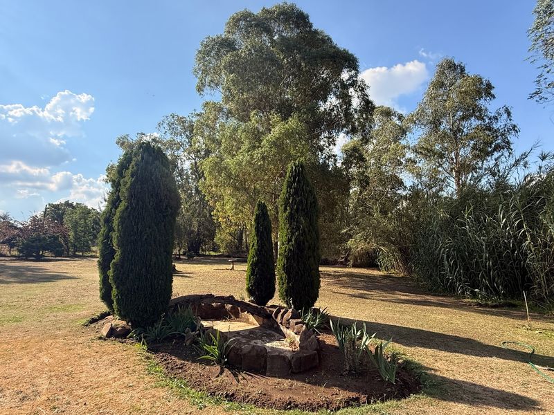 House Pending Sale In Walkerville - Photo 3