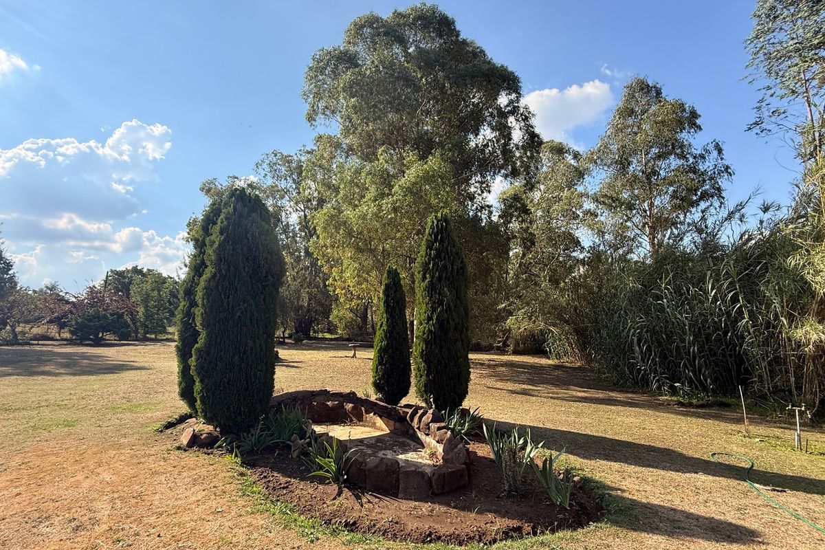 House Pending Sale In Walkerville - Photo 3