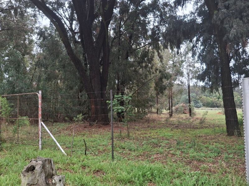Vacant Land For Sale In Meyerton - Photo 2