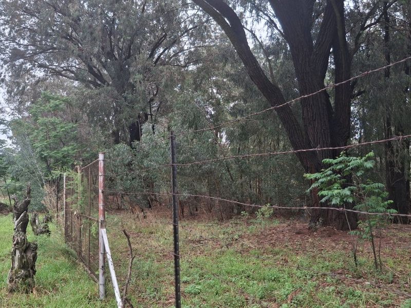 Vacant Land For Sale In Meyerton - Photo 5