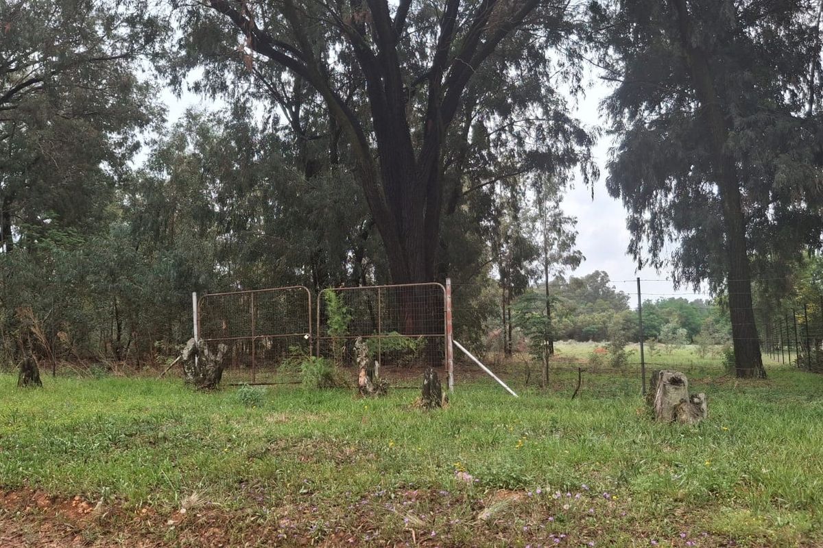A view of a vacant residential plot featuring mature trees, wire mesh fencing, and a metal gate entrance.