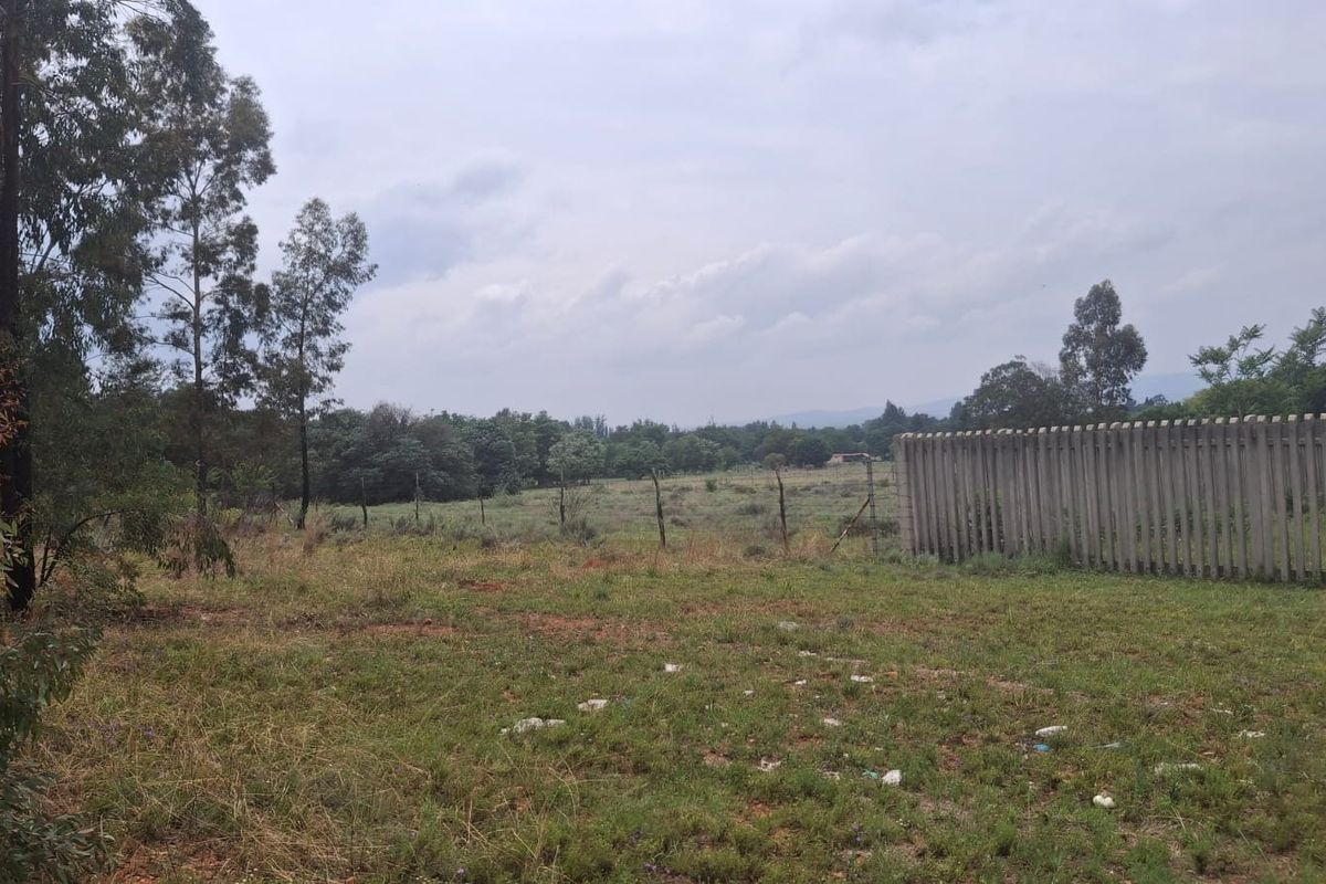 A view of a vacant residential plot featuring natural grass terrain, mature trees, and concrete palisade boundary fencing.
