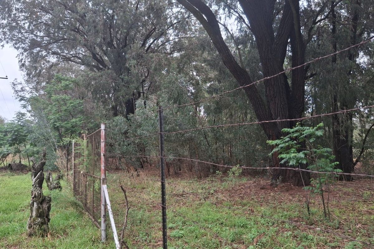 Vacant Land For Sale In Meyerton - Photo 5