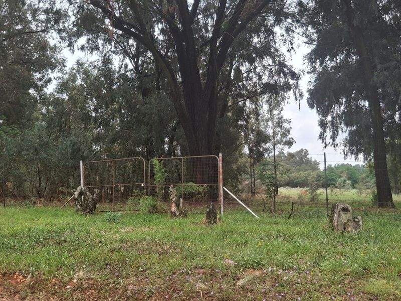 Vacant Land For Sale In Meyerton - Photo 9