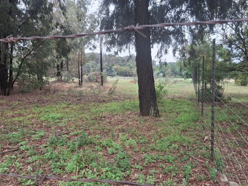 Vacant Land For Sale In Meyerton - Photo 6