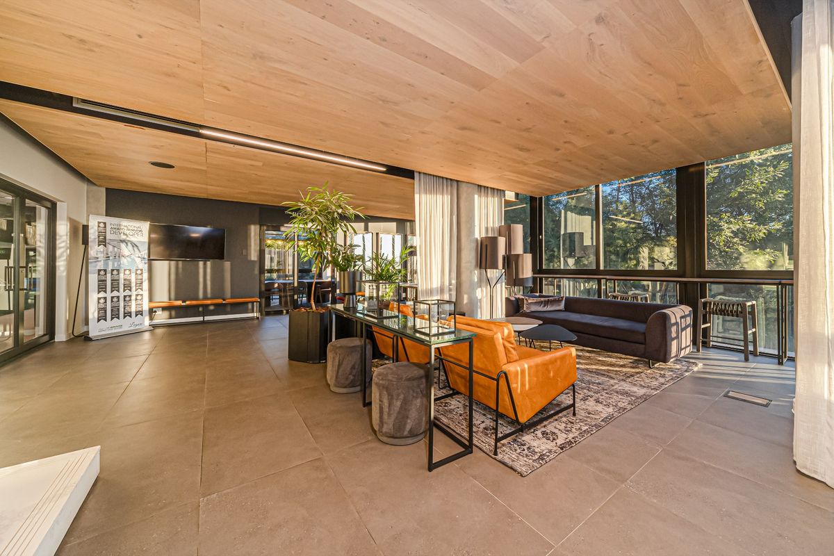 Modern open-plan living area featuring a warm timber veneer ceiling, large format floor tiles, and expansive floor-to-ceiling windows providing natural light.