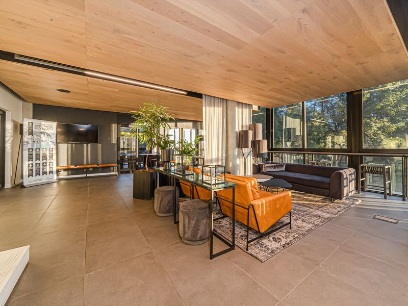Modern open-plan living area featuring a warm timber veneer ceiling, large format floor tiles, and expansive floor-to-ceiling windows providing natural light.