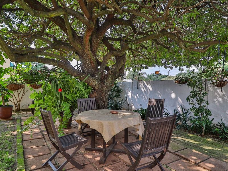 A shaded outdoor patio area featuring paved flooring and a large mature tree providing natural canopy cover, enclosed by a boundary wall.