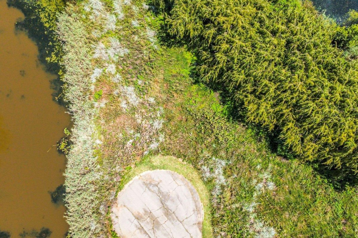 Vacant Land For Sale In Bronkhorstspruit - Photo 5