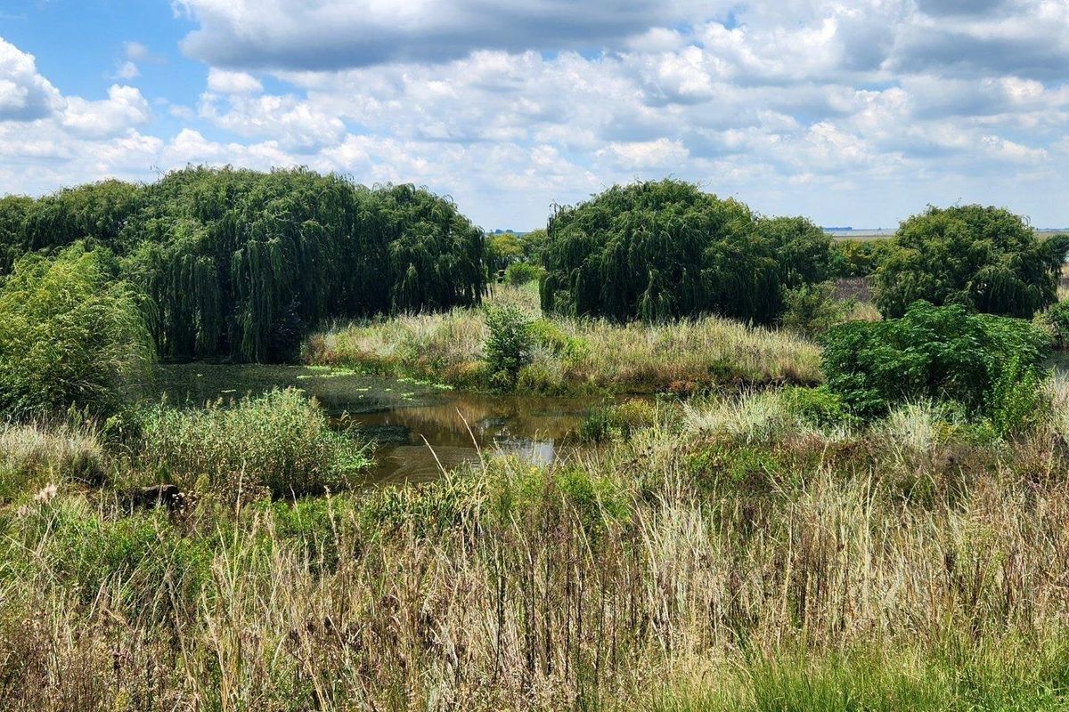 Vacant Land For Sale In Bronkhorstspruit - Photo 4