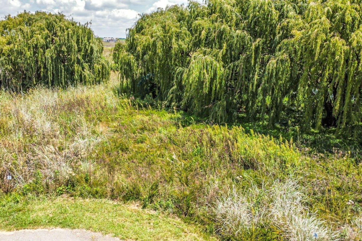 A view of the vacant residential land featuring mature trees and natural vegetation cover.