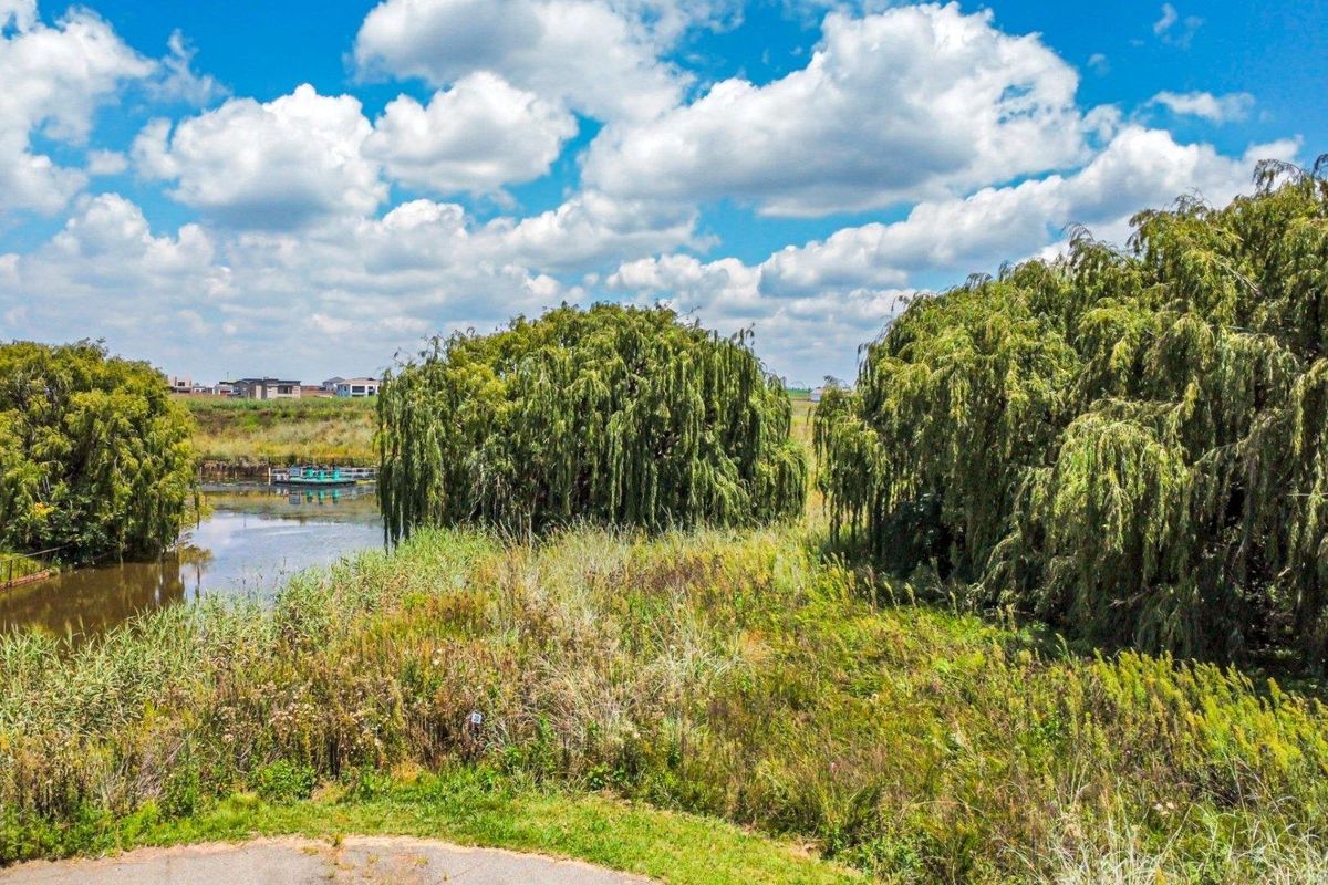 A scenic view of a natural pond surrounded by mature willow trees and wild vegetation on the residential land.