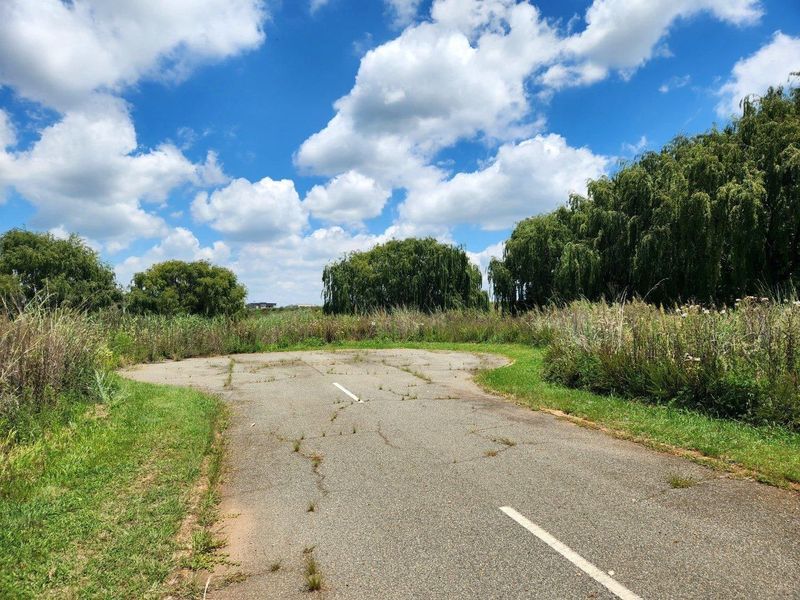 A view of a paved residential street or cul-de-sac showing significant surface cracking and vegetation growth.