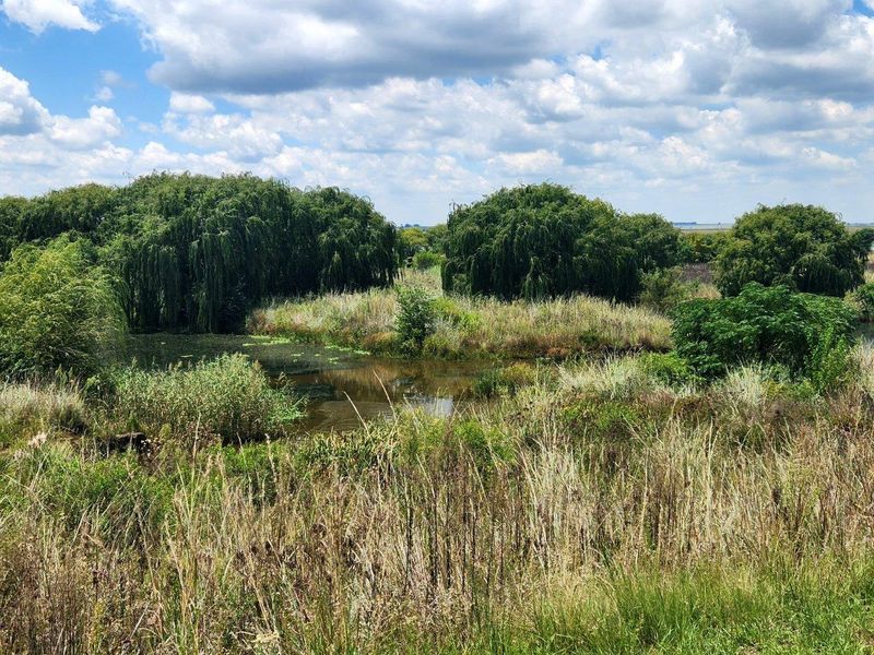 A scenic view of a natural pond surrounded by mature willow trees and wild grassland on the residential land.