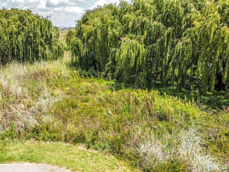 A view of the vacant residential land featuring mature trees and natural vegetation cover.