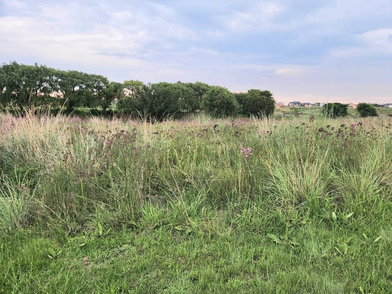 Vacant Land For Sale In Bronkhorstspruit - Photo 2