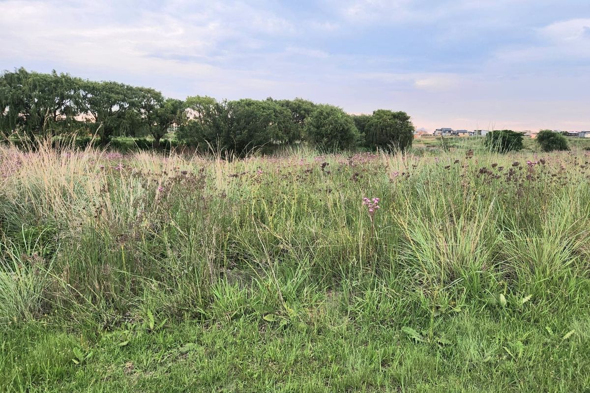 A view of an undeveloped residential plot featuring natural grasses and mature trees in the background.