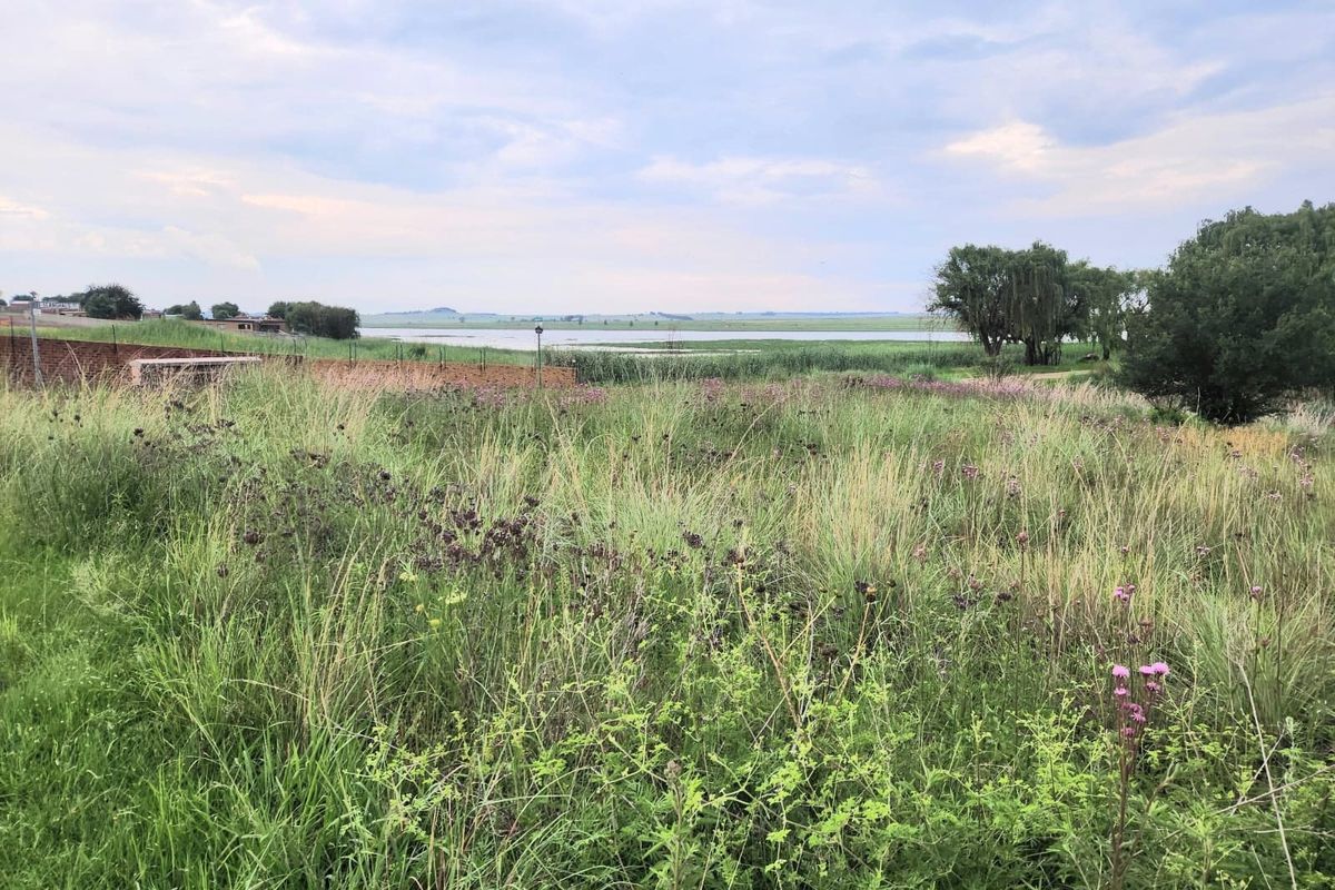 A scenic view of the vacant residential land featuring natural vegetation, a brick boundary wall, and a tranquil waterfront backdrop.
