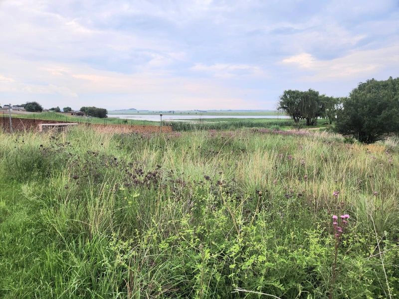 A scenic view of the vacant residential land featuring natural vegetation, a brick boundary wall, and a tranquil waterfront backdrop.