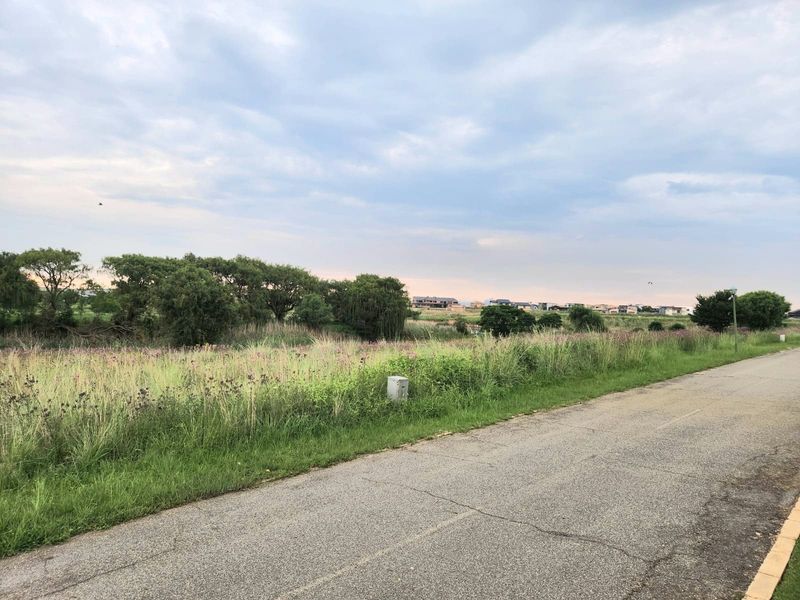 A view of the asphalt road and adjacent vacant land with natural vegetation and a utility box.