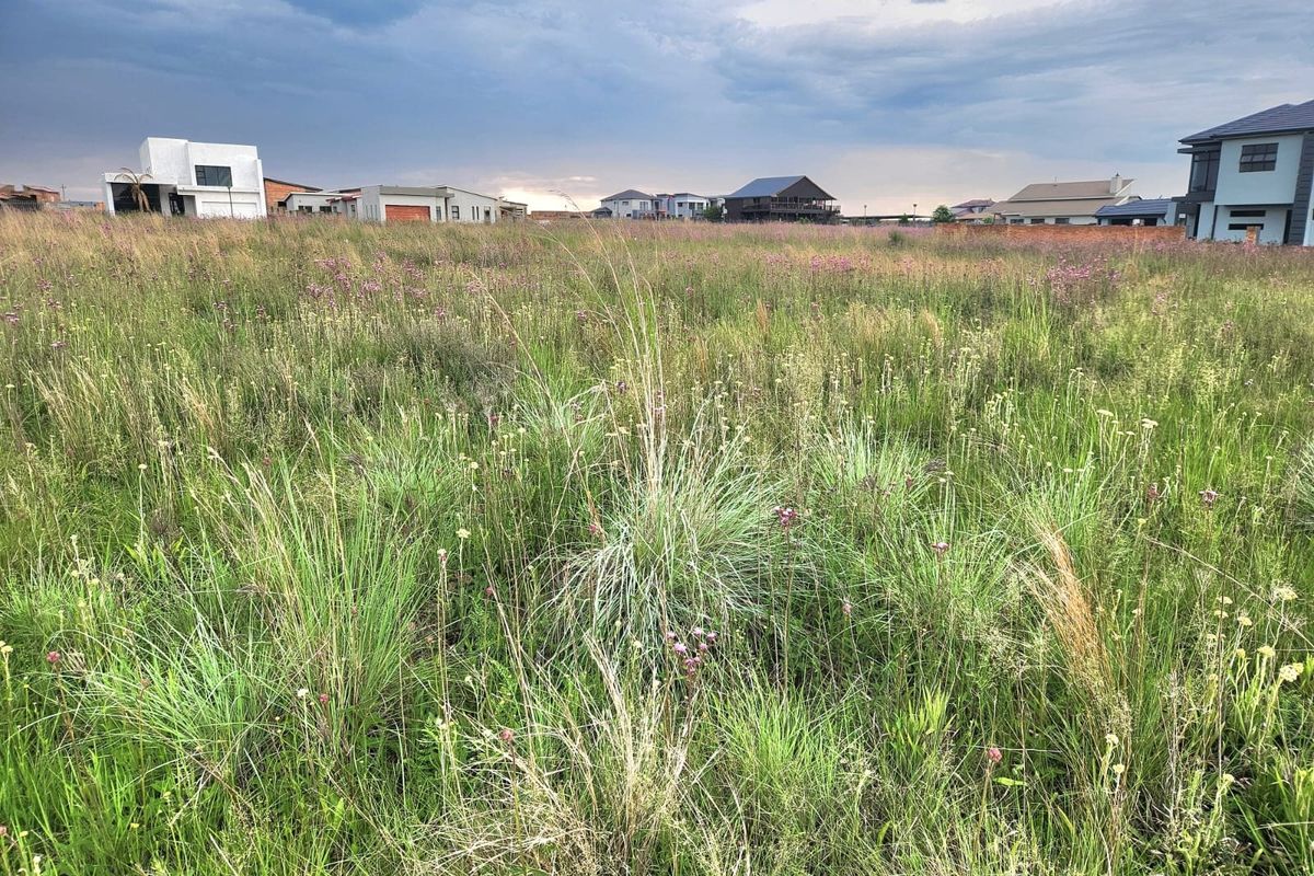 A vacant residential plot covered in natural vegetation, situated within an established neighborhood with surrounding modern homes.