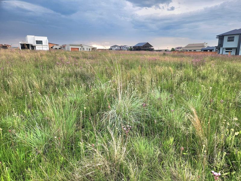 A vacant residential plot covered in natural vegetation, situated within an established neighborhood with surrounding modern homes.