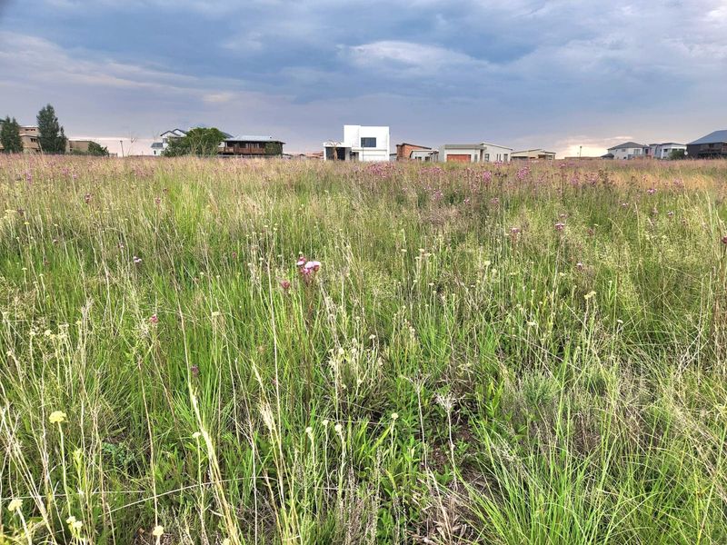 A view of a vacant residential plot featuring natural grass and surrounding neighborhood development.