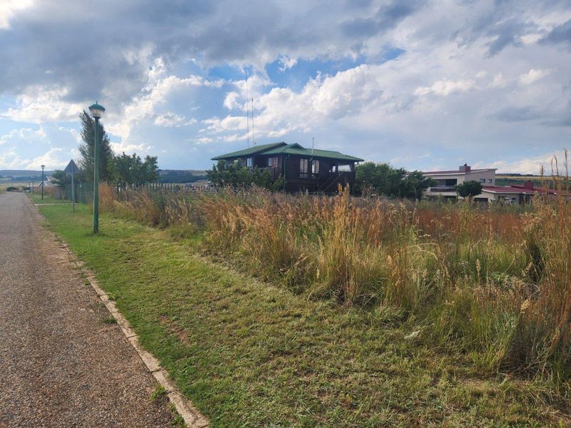 A street-level view of a vacant residential plot featuring established grass, a paved verge, and street lighting, with neighboring properties visible in the background.