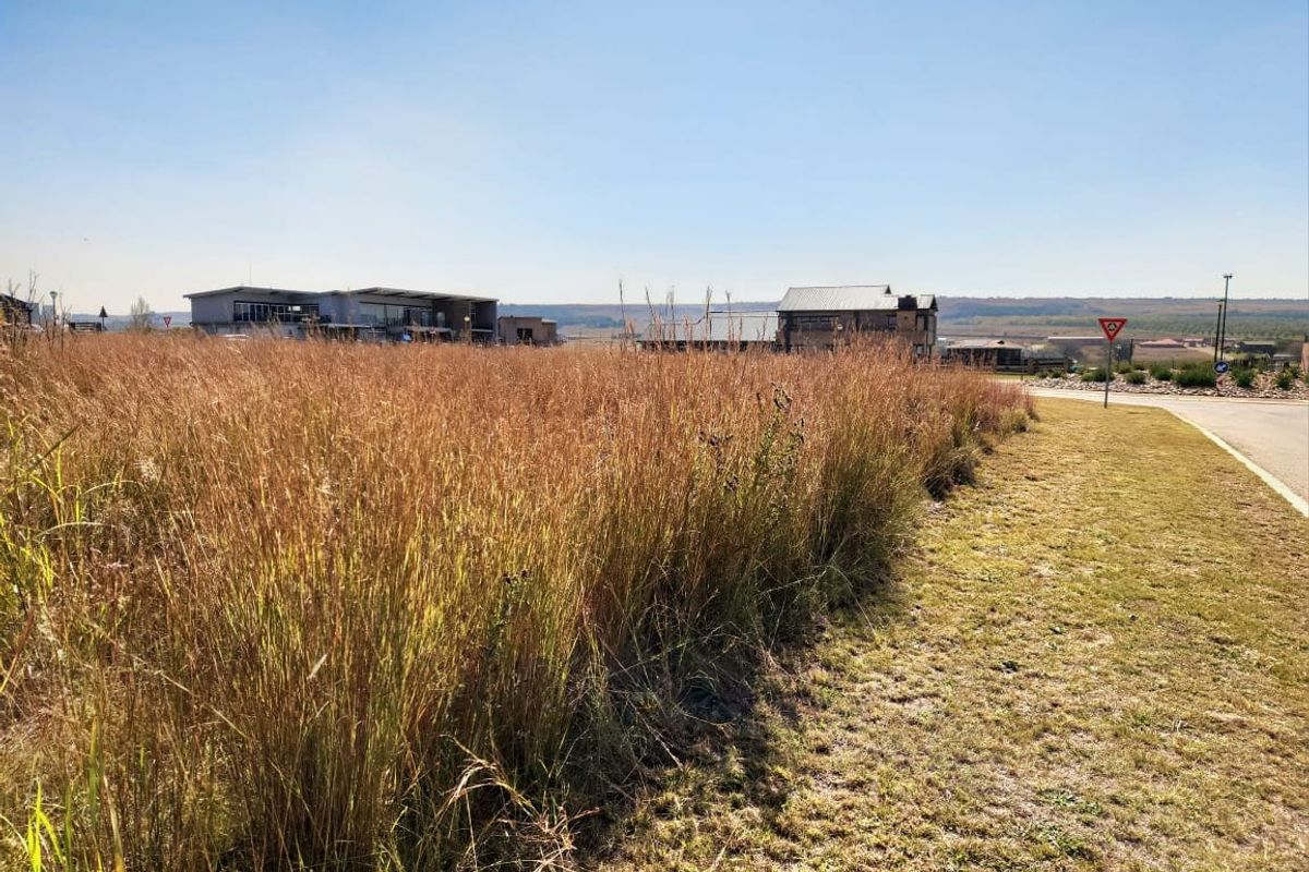 A view of a vacant residential plot featuring tall grass, situated adjacent to a paved road with surrounding estate development visible in the distance.