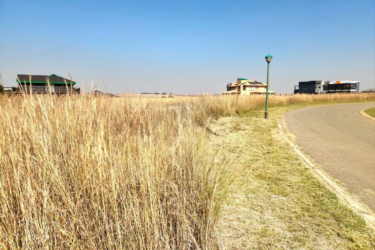 A view of a vacant residential plot featuring tall dry grass, a paved road, and a street lamp with neighboring houses in the distance.