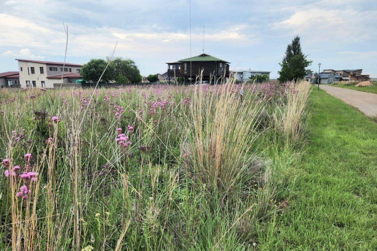 Vacant Land For Sale In Bronkhorstspruit - Photo 5