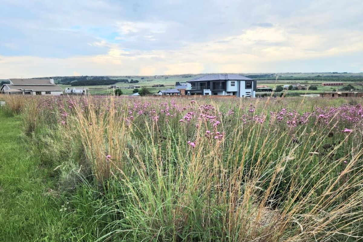 A view of an undeveloped residential plot featuring natural vegetation with surrounding neighborhood homes in the distance.